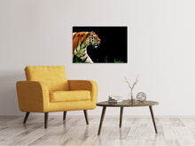 Laden Sie das Bild in den Galerie-Viewer, Leinwandbild Imposanter Tiger