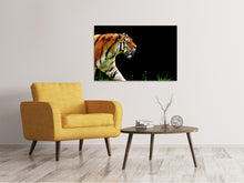 Laden Sie das Bild in den Galerie-Viewer, Leinwandbild Imposanter Tiger