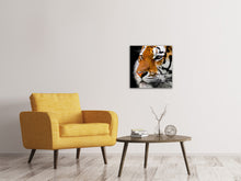 Laden Sie das Bild in den Galerie-Viewer, Leinwandbild Close up Tiger Kopf