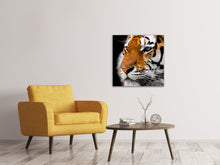 Laden Sie das Bild in den Galerie-Viewer, Leinwandbild Close up Tiger Kopf