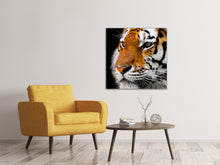 Laden Sie das Bild in den Galerie-Viewer, Leinwandbild Close up Tiger Kopf
