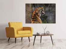 Laden Sie das Bild in den Galerie-Viewer, Leinwandbild Achtung Tiger