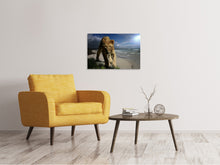 Laden Sie das Bild in den Galerie-Viewer, Leinwandbild Eine Löwin am Strand