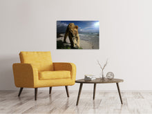 Laden Sie das Bild in den Galerie-Viewer, Leinwandbild Eine Löwin am Strand