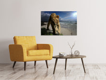 Laden Sie das Bild in den Galerie-Viewer, Leinwandbild Eine Löwin am Strand