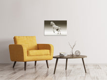 Laden Sie das Bild in den Galerie-Viewer, Leinwandbild Die stolze Stute