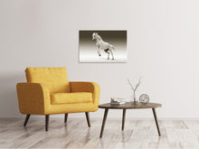 Laden Sie das Bild in den Galerie-Viewer, Leinwandbild Die stolze Stute
