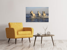 Laden Sie das Bild in den Galerie-Viewer, Leinwandbild Pferde im Meer