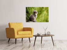 Laden Sie das Bild in den Galerie-Viewer, Leinwandbild Wildkatze