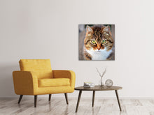 Laden Sie das Bild in den Galerie-Viewer, Leinwandbild Tiger Katze