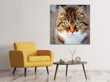 Laden Sie das Bild in den Galerie-Viewer, Leinwandbild Tiger Katze