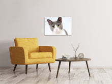 Laden Sie das Bild in den Galerie-Viewer, Leinwandbild Edle Katze