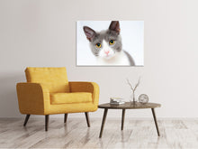 Laden Sie das Bild in den Galerie-Viewer, Leinwandbild Edle Katze