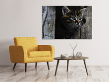 Laden Sie das Bild in den Galerie-Viewer, Leinwandbild Katzen Kind