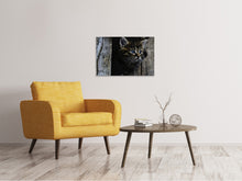 Laden Sie das Bild in den Galerie-Viewer, Leinwandbild Katzen Kind