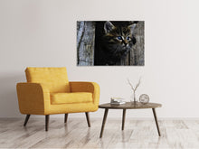 Laden Sie das Bild in den Galerie-Viewer, Leinwandbild Katzen Kind