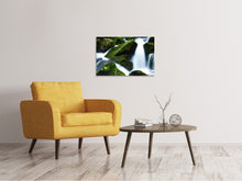 Laden Sie das Bild in den Galerie-Viewer, Leinwandbild Wilder Wasserfall