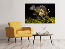 Laden Sie das Bild in den Galerie-Viewer, Leinwandbild Lion Fisch