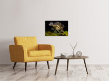 Laden Sie das Bild in den Galerie-Viewer, Leinwandbild Lion Fisch