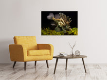 Laden Sie das Bild in den Galerie-Viewer, Leinwandbild Lion Fisch