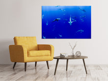 Laden Sie das Bild in den Galerie-Viewer, Leinwandbild Im Haifischbecken