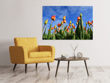 Laden Sie das Bild in den Galerie-Viewer, Leinwandbild Tulpen ragen zum Himmel