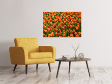 Laden Sie das Bild in den Galerie-Viewer, Leinwandbild Tulpenfeld in orange