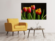 Laden Sie das Bild in den Galerie-Viewer, Leinwandbild Farbenfrohe Tulpen
