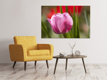 Laden Sie das Bild in den Galerie-Viewer, Leinwandbild Tulpe pretty in pink