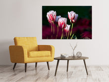 Laden Sie das Bild in den Galerie-Viewer, Leinwandbild Die Schönheit der Tulpen