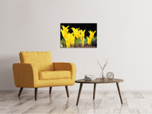 Laden Sie das Bild in den Galerie-Viewer, Leinwandbild Gelbe Tulpen in der Natur