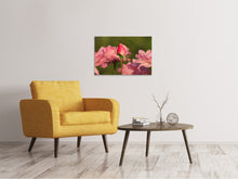 Laden Sie das Bild in den Galerie-Viewer, Leinwandbild Die Rosenknospe