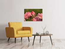 Laden Sie das Bild in den Galerie-Viewer, Leinwandbild Die Rosenknospe