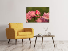 Laden Sie das Bild in den Galerie-Viewer, Leinwandbild Die Rosenknospe