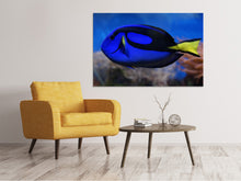 Laden Sie das Bild in den Galerie-Viewer, Leinwandbild Der Paletten-Doktorfisch