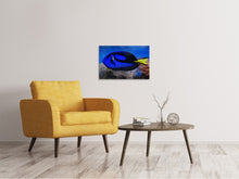 Laden Sie das Bild in den Galerie-Viewer, Leinwandbild Der Paletten-Doktorfisch