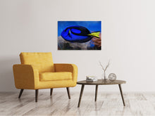 Laden Sie das Bild in den Galerie-Viewer, Leinwandbild Der Paletten-Doktorfisch