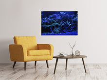 Laden Sie das Bild in den Galerie-Viewer, Leinwandbild Korallenriff in blau