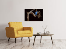 Laden Sie das Bild in den Galerie-Viewer, Leinwandbild Die Artistin
