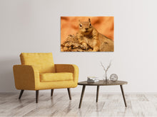 Laden Sie das Bild in den Galerie-Viewer, Leinwandbild Süsses Eichhörnchen