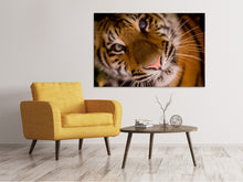 Laden Sie das Bild in den Galerie-Viewer, Leinwandbild Tiger Gesicht