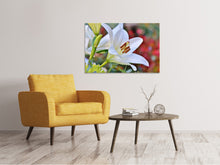 Laden Sie das Bild in den Galerie-Viewer, Leinwandbild Prächtige Lilie in weiss