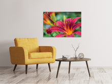 Laden Sie das Bild in den Galerie-Viewer, Leinwandbild Lilien Blüte in pink XL