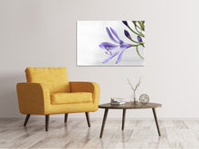 Laden Sie das Bild in den Galerie-Viewer, Leinwandbild Lilien Blüte in lila