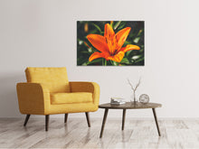 Laden Sie das Bild in den Galerie-Viewer, Leinwandbild Lilien Blüte in orange XL