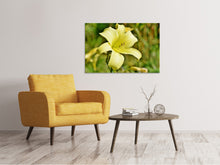 Laden Sie das Bild in den Galerie-Viewer, Leinwandbild Lilien Blüte in gelb