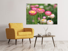 Laden Sie das Bild in den Galerie-Viewer, Leinwandbild Blumen des Frühlings