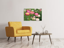 Laden Sie das Bild in den Galerie-Viewer, Leinwandbild Blumen des Frühlings