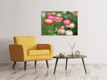Laden Sie das Bild in den Galerie-Viewer, Leinwandbild Blumen des Frühlings