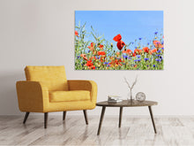 Laden Sie das Bild in den Galerie-Viewer, Leinwandbild Der Mohn in der Blumenwiese